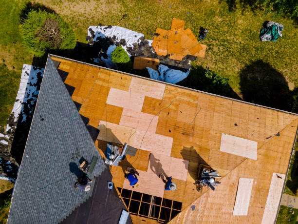 Best Commercial Roofing Services  in Clifton, TN