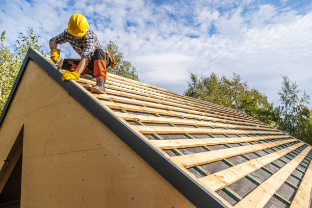 Best Roof Repair Services  in Clifton, TN
