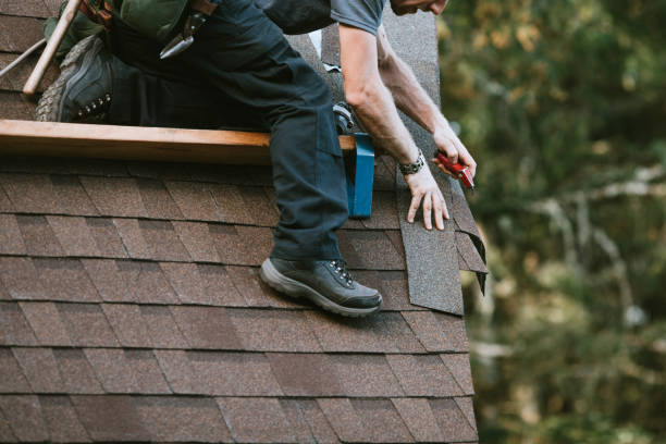 Best Gutter Installation and Roofing  in Clifton, TN